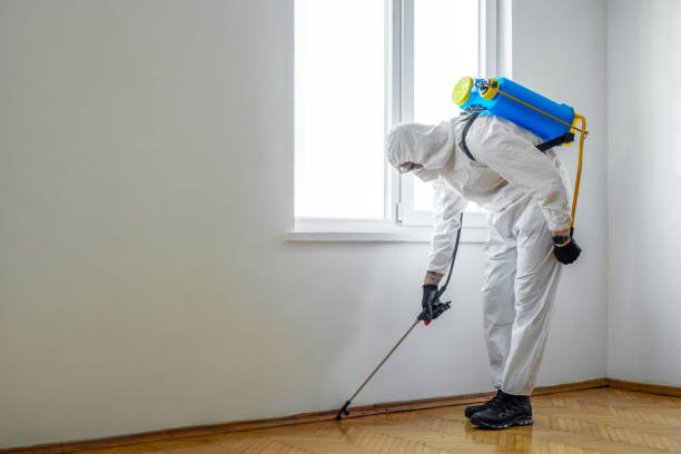 Best Wasp Removal Services  in Hillsboro, WI